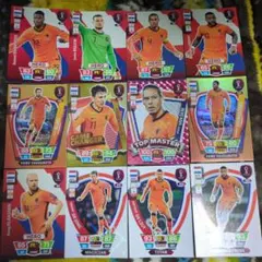 PANINI Adrenalyn XL オランダ代表 12枚セット