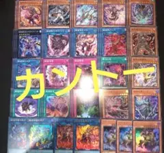 トゥーン 破戒 ウィッチクラフト ノーマル 3コン 48種 計144枚 遊戯王