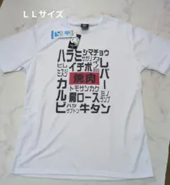 おもしろＴ焼肉プリント Tシャツ LLサイズ
