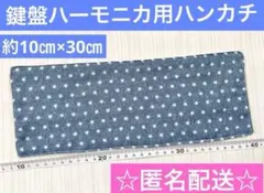 Item thumbnail for item 5fe66e91-23dc-4673-bf5a-c821cdebce04