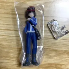 ポケモンスケールワールド カロス地方 カルム