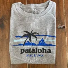 パタゴニア　パタロハ　Tシャツ