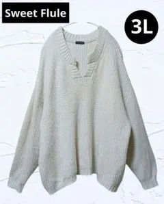 おおきいサイズ