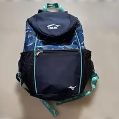 Item thumbnail for item ca6f4d2d-5e0d-4c86-9685-05a8d39295c3