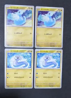 ミニリュウ セット