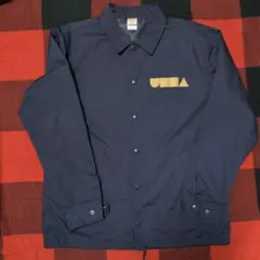 バックドロップシンデレラ ミュージシャン