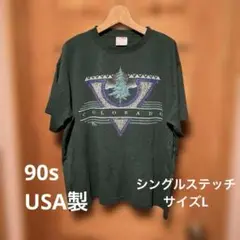 90sTシャツアメリカ製 シングルステッチ USA製 ジャージーズ　L グリーン
