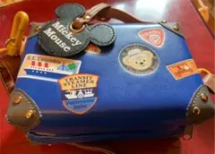 ダッフィー、カメラケース、ミッキー　スプリングヴォヤッジ　ディズニー