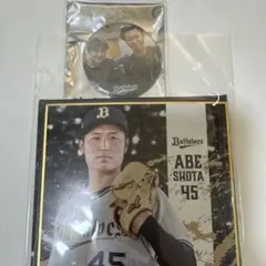 石川亮 阿部翔太 ミニ色紙 缶バッジのサムネイル