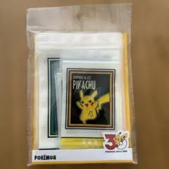 ポケモン 30周年記念 3COINS ストックバッグセット