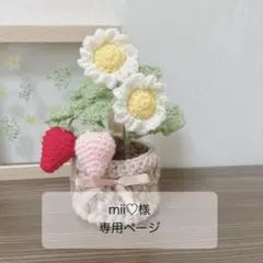 【mii♡様専用】かぎ針　毛糸　あみぐるみ　鉢植え　枯れないお花