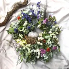 Item thumbnail for item 554b271a-775a-4789-a957-5333c1af59a6