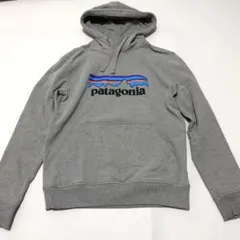 Patagoniaパタゴニア ロゴ アップライザルフーディ Sサイズ パーカーのサムネイル