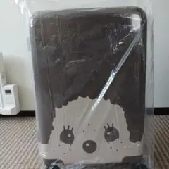 Item thumbnail for item 318da844-0eae-494f-9c06-826ba02d5421