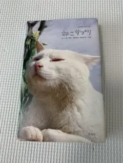 豆実様 リクエスト 2点 まとめ商品