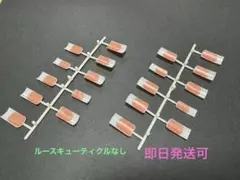 JNEC 認定モデルハンド　チップ　ルースキューティクルなし