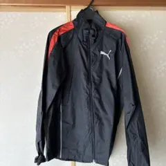 Item thumbnail for item 11b023af-c384-475e-939d-083511ec978d