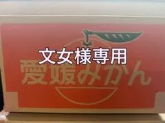文女様専用