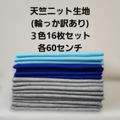 天竺ニット生地(輪っか訳あり) ３色16枚セット