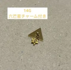 ④◇SE研究所 セリストン パワープレート大 パワーメタル コイン