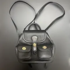 【極美品】COACH ハドリー ブラック レザー バック　収納袋付き