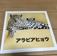 万博　サウジアラビアパビリオン　アラビアヒョウ 絵本