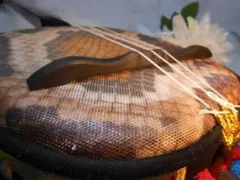 新品未使用(送料無料)800円　沖縄三線専用　減音ウマDタイプ