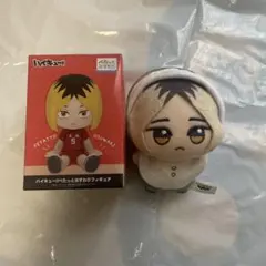 ハイキュー!! ちびぐるみ アニマルポンチョ 孤爪研磨