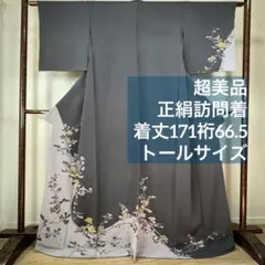 超美品　正絹　袷　訪問着　着物　トールサイズ　グレー　縮緬　刺繍　金彩　171