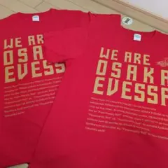 大阪エヴェッサ 応援Tシャツ 2枚セット Lサイズのサムネイル