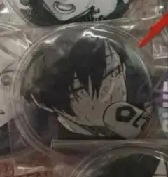 すちゃ様専用ページ