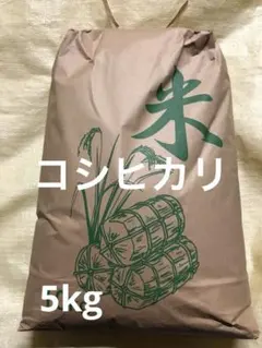 令和8年度産　コシヒカリ　5kg 白米　産地直送　匿名配送