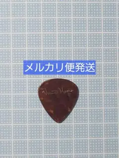 Vinnie Moore シグネチャー ギターピック PICK BOY - メルカリ