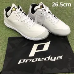 Item thumbnail for item f65f3984-6aa7-4688-ac03-cfed821ce3e9