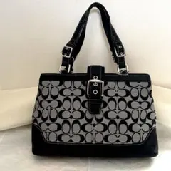 COACH コーチ シグネチャー ハンドバッグ　キャンバス F12642