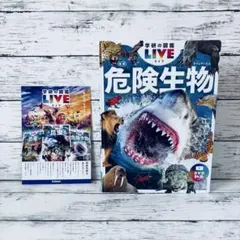 Item thumbnail for item 13c4c4e4-9575-4da4-850d-95dbc9c7eba0