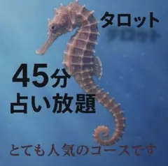 Item thumbnail for item c10ca085-41d4-404a-93cc-79385f23ccd8