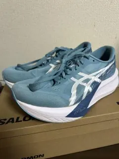 Nice dayさん専用ASICS MAGIC SPEED 4 27.5cm