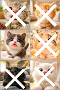 ハンドメイド品オーダー用在庫パネル♥️猫 商品オーダー用 猫パネル - メルカリ