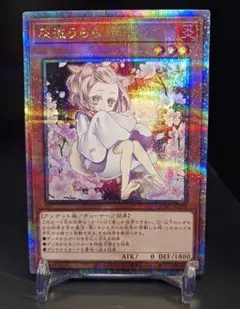 2026年最新】灰流うらら 25th 絵違いの人気アイテム - メルカリ