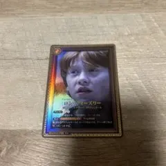 ロン・ウィーズリー Pt パラレル ハリー・ポッターと賢者の石 part.2