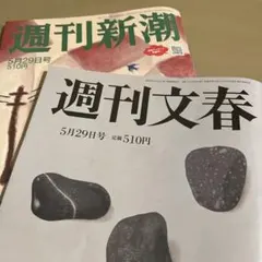 Item thumbnail for item bb196ac5-e5b1-465b-bf4e-b02a84d15f47