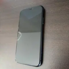 Apple iPhone11 本体 ブラック 64GB