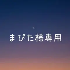まぴた様 リクエスト 2点 まとめ商品