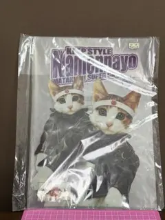 Item thumbnail for item 8806c55b-86f0-413f-a327-7823d36e5a7e