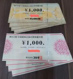 ビックカメラ コジマ 優待券 8000円分