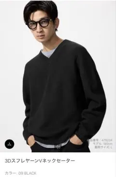 3DスフレヤーンVネックセーター Black S