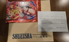 週刊少年ジャンプ×Pokemon メガシンカプレゼント!!!　ポストカードセット