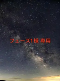 ロード・オブ・ザ・リングのナヒル聖剣 日本刀 模造刀 居合刀 Amazon.co.jp: 刀 - 武器: スポーツ＆アウトドア
