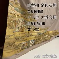 色留袖 金彩友禅 金駒刺繍 十二単 エ霞文様 3つ紋 正絹 裄69 v369